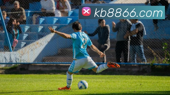 kb体育平台生态图